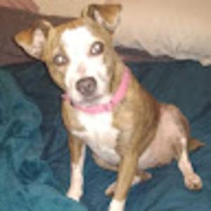 Meet your Posher, Betty